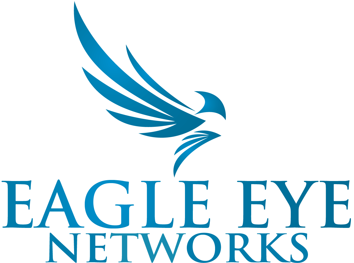 EaglEye Networks Logo